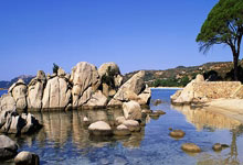 网上买球怎么买 -7款游戏玩家盲测结果出炉：DLSS 4.5碾壓(yā)FSR 4.1！6勝(shèng)1负完勝(shèng)AMD