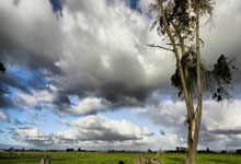 网上买球怎么买 -2025中国金球奖各奖项得主揭晓